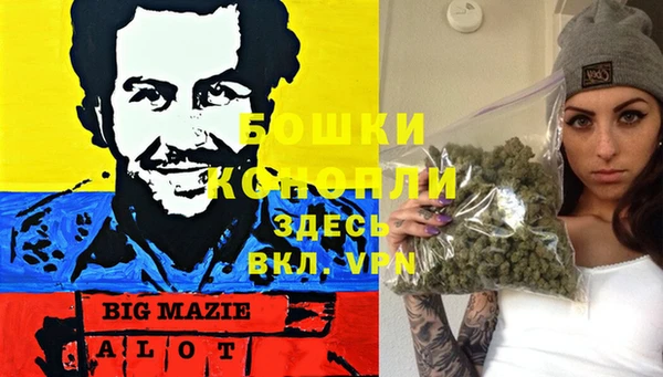 амф Алзамай