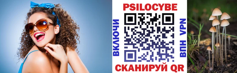купить закладку Бикин Галлюциногенные грибы Psilocybine cubensis